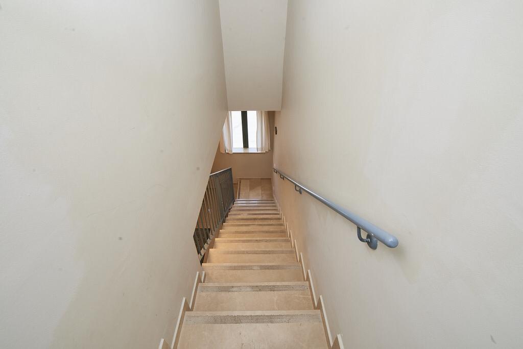 Stunning Saidoff Duplex • Mehadrin Kitchen • Steps to Light Rail photo 6